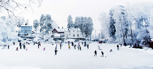 The Steinberg Winter Classic